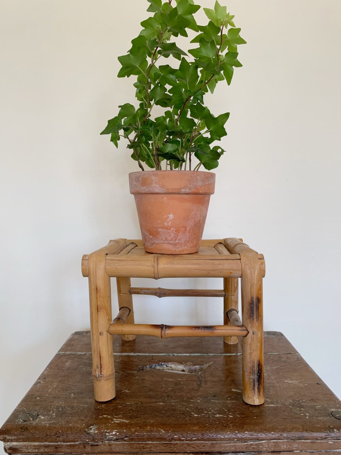 Vintage Bamboo Plant Stand Vintage Keepers